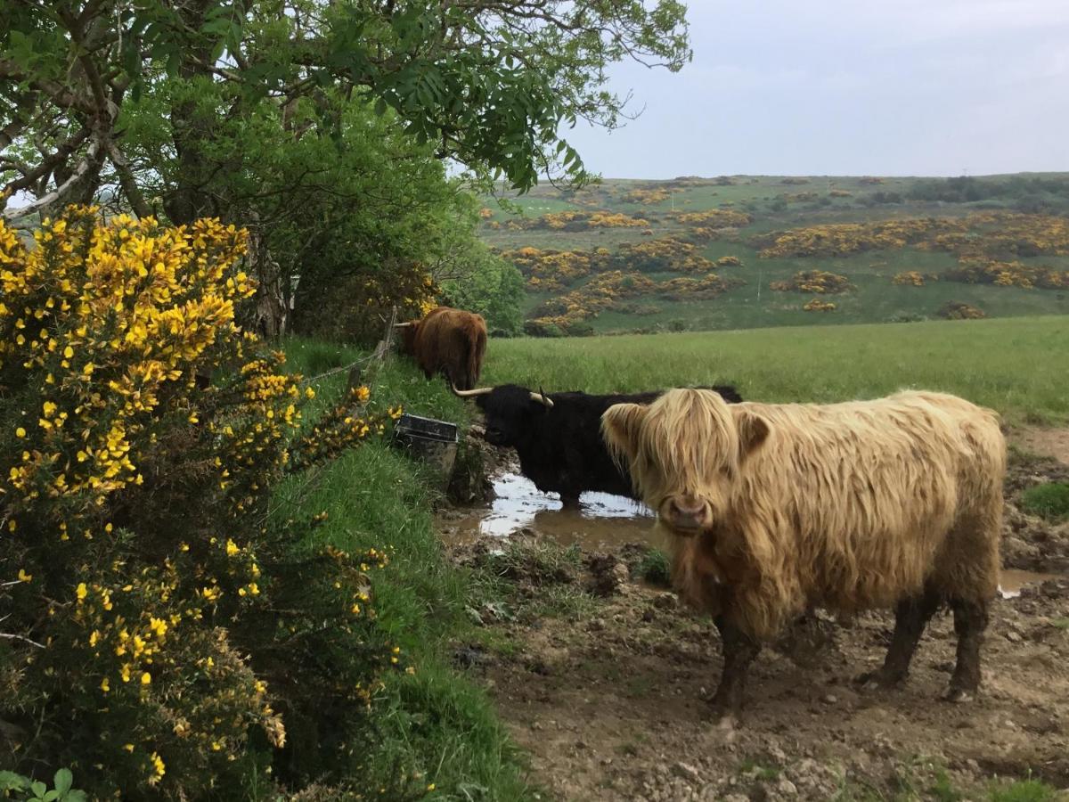 Apartament Chapelhill Hideaway Isle Of Bute Licence Ar00654F Rothesay Zewnętrze zdjęcie